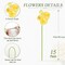 Ranunculus Yellow Artificial Flower Faux Silk Mini Ranunculus Bulk Fake Wedding Filler Flowers for DIY Bouquets, Centerpieces Arrangements Bridal Shower Decorations 15Pcs